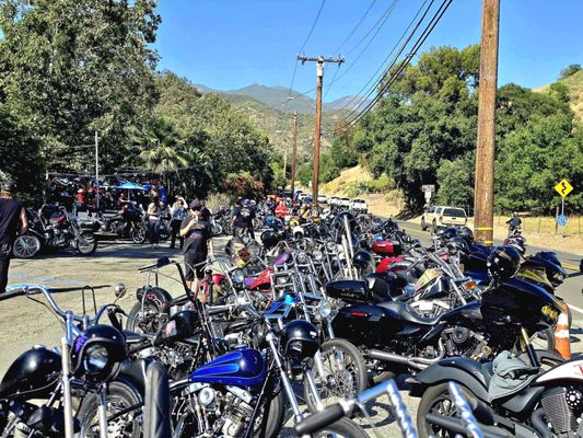 Cook's Corner by null