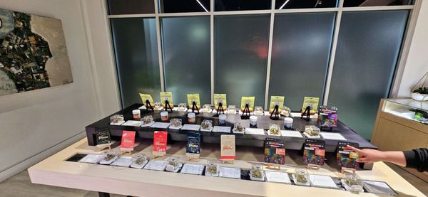 The Artist Tree Dispensary Fresno by null