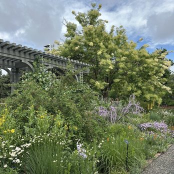 Denver Botanic Gardens - Botanical Gardens Near Me - Denver, Colorado