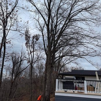 C & A Tree Service - Tree Services Near Me C & A Tree Service - Tree Services Near Me