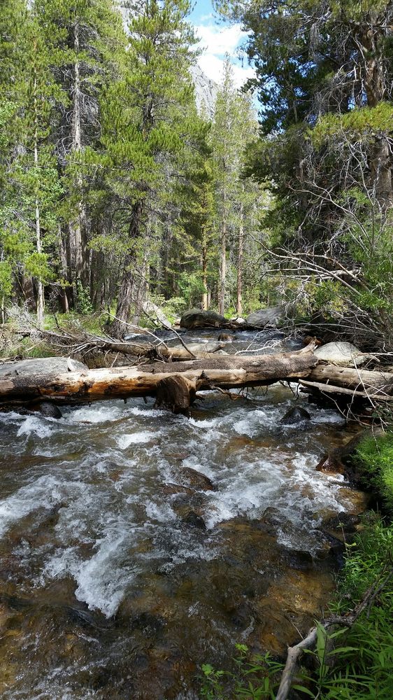 East Fork Campgrounds 2019 All You Need to Know BEFORE You Go (with