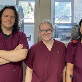 Wolfchase Animal Hospital - Veterinarians Near Me - Memphis, Tennessee Wolfchase Animal Hospital - Veterinarians Near Me - Memphis, Tennessee