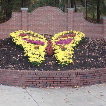 Dollywood - Beautiful and playful floral display right near the entrance. - Amusement Parks Near Me - Pigeon Forge, Tennessee Dollywood - Beautiful and playful floral display right near the entrance. - Amusement Parks Near Me - Pigeon Forge, Tennessee
