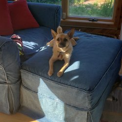 Corolla Light A Resort Village - Pet friendly! Not every home allows dogs, but this home did. Reeses