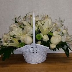 Tiger Lilli's Florist