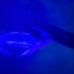 Manta ray Manta ray
