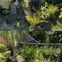 Photo of Hooulu Landscape & Yard Maintenance