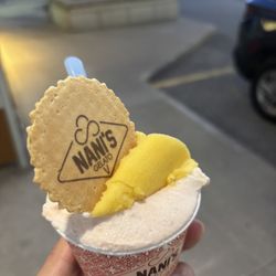 Nani's Gelato