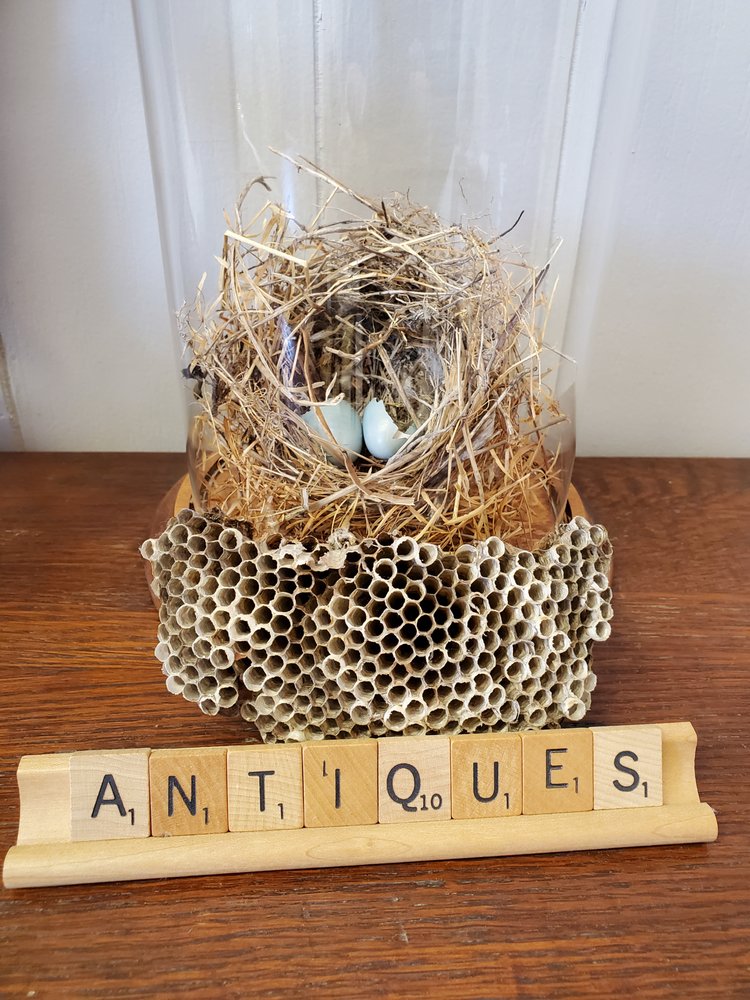 THE GARDEN GATE Updated August 2024 21 N Main Cross St, Bowling