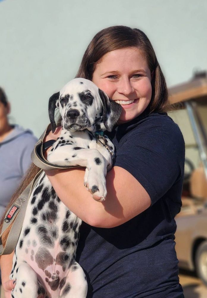 GOLDEN PUPPIES Updated September 2024 25 Photos & 13 Reviews