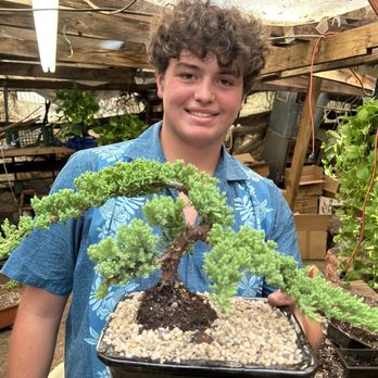 Sunshine Miniature Trees - Max (staff at Sunshine Miniature Trees) and the juniper bonsai we selected. - Nurseries & Gardening Near Me - Dallas, Texas