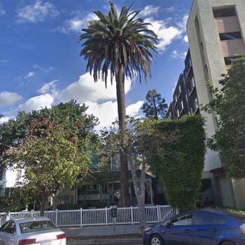 Gabriel's Tree Service - Tree Services Near Me - Los Angeles, California