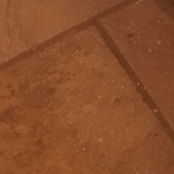 S Green Discount Carpet Clg - Paint on tile too???? Didn't even cover the floor!!!! - Carpet Cleaning Near Me - Grandview, Missouri S Green Discount Carpet Clg - Paint on tile too???? Didn't even cover the floor!!!! - Carpet Cleaning Near Me - Grandview, Missouri