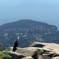 Eagle Bluffs