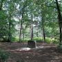 Photo of Forêt du Gâvre