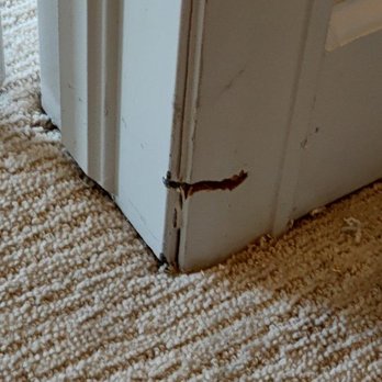 American Master Movers - At least 1/2 inch gouge in door trim - Movers Near Me - Parker, Colorado American Master Movers - At least 1/2 inch gouge in door trim - Movers Near Me - Parker, Colorado