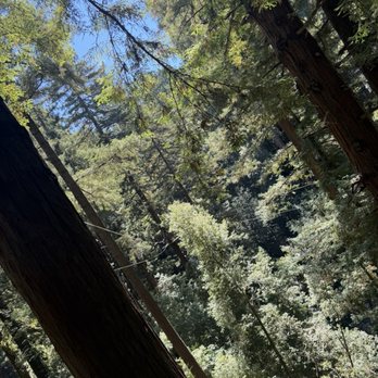 Mount Hermon Adventures - Challenge Courses Near Me - Mount Hermon, California Mount Hermon Adventures - Challenge Courses Near Me - Mount Hermon, California