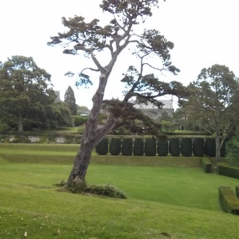 Dartington Hall Gardens - Gardens - Community Service/Non-Profit Near Me - Totnes, DEV