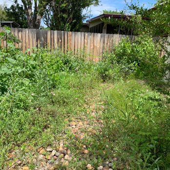 Simon Does - Before: Lots of weeds and overgrown foliage - Tree Services Near Me