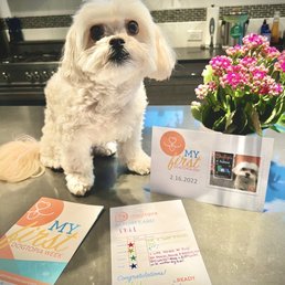 Phil's first day report card and postcard!