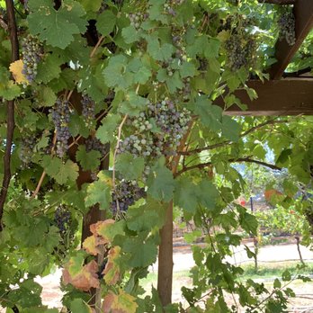 Page Springs Cellars - Massage Near Me - Cornville, Arizona
