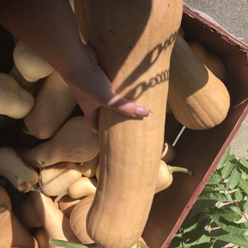 Granny's Fruit Stand - Farmers Market Near Me - Summerland, British Columbia