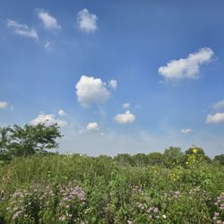 Buffalo Creek Forest Preserve