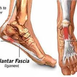 Armando Gonzalez D.P.M. - Marion County Podiatry Specialists