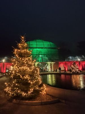 Palmengarten Frankfurt by null