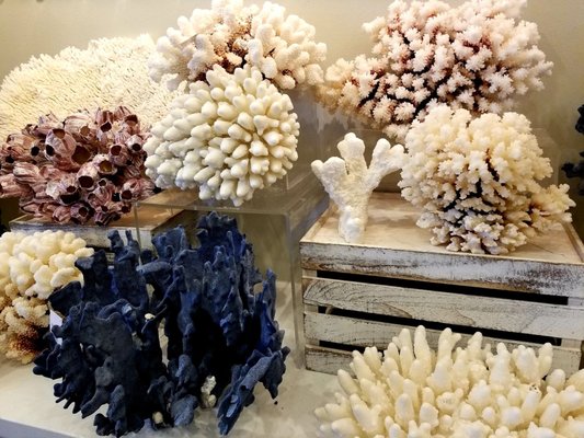 SoHa Living Kailua by null