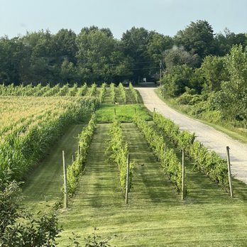 Hickory Creek Winery - Wineries Near Me - Buchanan, Michigan