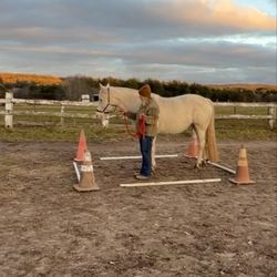 Hoof to Heart - VETS