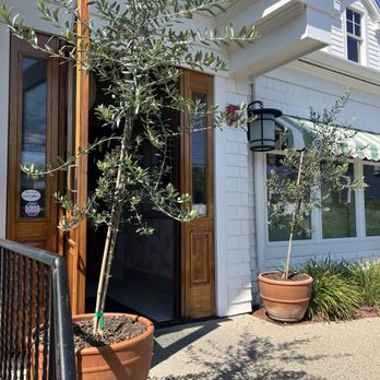 Celeste - Entrance of the restaurant is so pretty & inviting . The olive trees are a great touch thru the inside too. - Desserts Near Me - Narragansett, Rhode Island Celeste - Entrance of the restaurant is so pretty & inviting . The olive trees are a great touch thru the inside too. - Desserts Near Me - Narragansett, Rhode Island