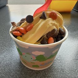 Hoppy's FroYo - Chocolate and cake batter fro-yo with toppings