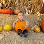 Photo of Shadelands Ranch Pumpkin Patch