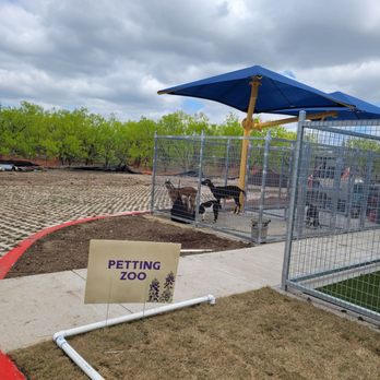 Fort Worth North Animal Campus - The goats are not for sale - Animal Shelters Near Me - Fort Worth, Texas Fort Worth North Animal Campus - The goats are not for sale - Animal Shelters Near Me - Fort Worth, Texas