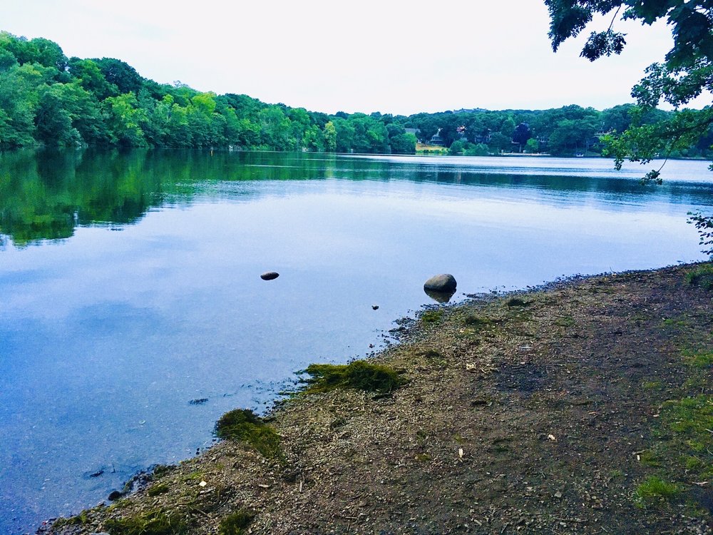 Mystic Lakes Sandy Beach 26 Photos & 35 Reviews Parks Mystic Valley Pkwy, Winchester, MA