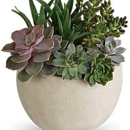 What I ordered from website
