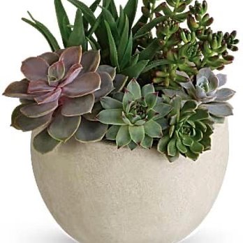Mossholder's Floral - What I ordered from website - Florists Near Me - Arvada, Colorado