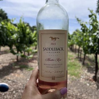 Saddleback Cellars - This was amazing - Wine Tasting Room Near Me - Oakville, California Saddleback Cellars - This was amazing - Wine Tasting Room Near Me - Oakville, California