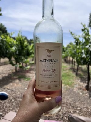 Saddleback Cellars by null