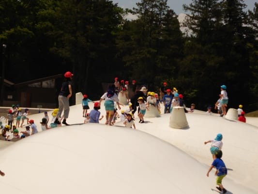 Showa Kinen Park by null