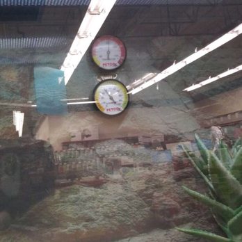 Petco - Thermometers from both sides of the cage dictating the same temperature. Approximately 81 degrees - Pet Stores Near Me - Miami, Florida Petco - Thermometers from both sides of the cage dictating the same temperature. Approximately 81 degrees - Pet Stores Near Me - Miami, Florida