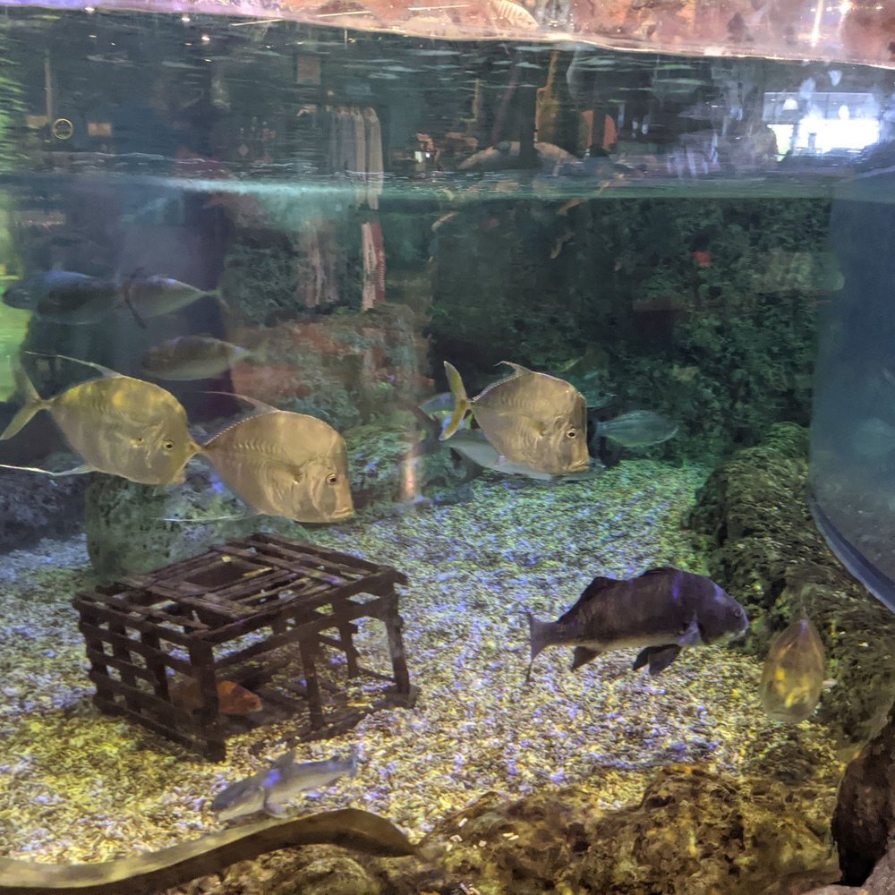 Bass Pro Shops - Hunting & Fishing Supplies Near Me - Miami, Florida