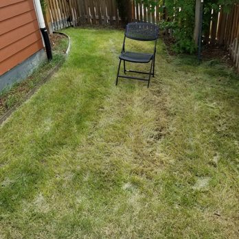Mr.Plow - My backyard grass was cut, it's a tiny backyard. - Snow Removal Near Me