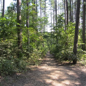 Sherwood Forest - Summer Camps Near Me - St. Louis, Missouri Sherwood Forest - Summer Camps Near Me - St. Louis, Missouri