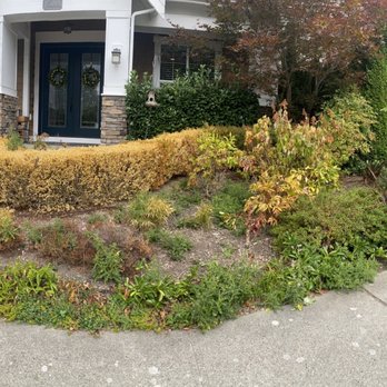 Sauz Landscaping - Front before - Lawn Services Near Me