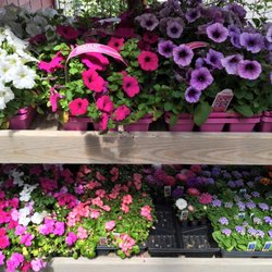 Diver's Garden & Pet Supplies