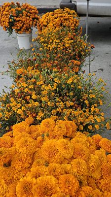 Studio City Farmers Market by null