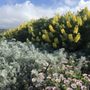 Photo of Central Coast Wilds